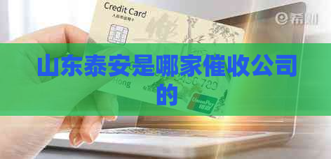 山东泰安是哪家公司的