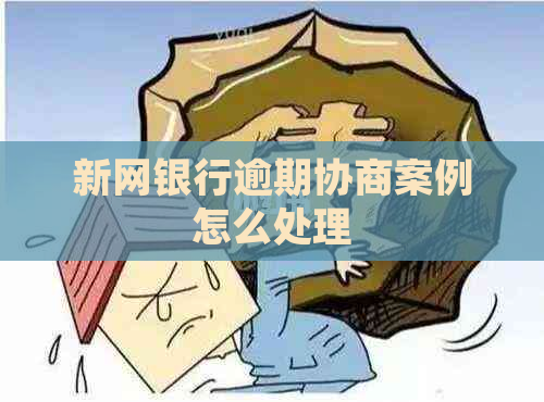 新网银行逾期协商案例怎么处理