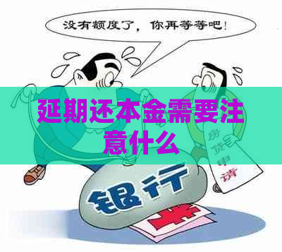 延期还本金需要注意什么