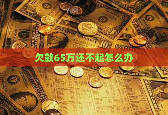 欠款65万还不起怎么办