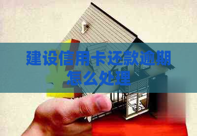建设信用卡还款逾期怎么处理