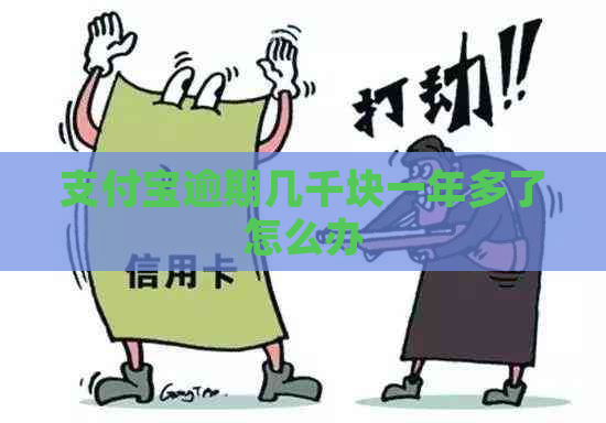 支付宝逾期几千块一年多了怎么办