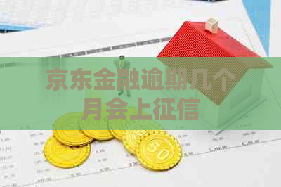 京东金融逾期几个月会上
