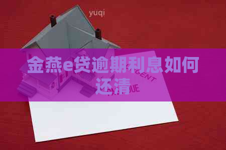 金燕e贷逾期利息如何还清