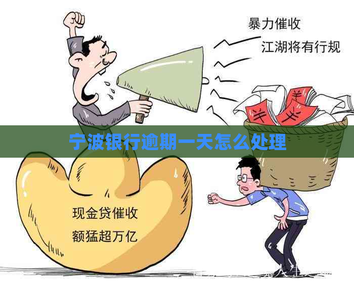 宁波银行逾期一天怎么处理