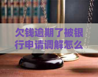 欠钱逾期了被银行申请调解怎么办