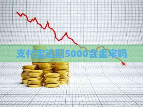 支付宝逾期5000会坐牢吗