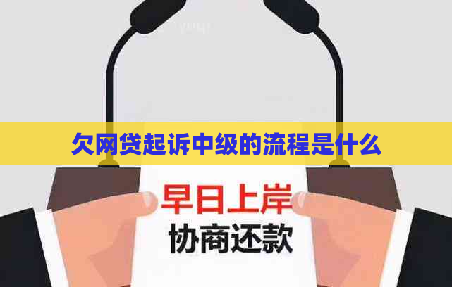 欠网贷起诉中级的流程是什么