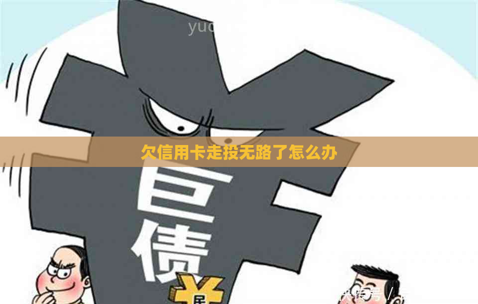 欠信用卡走投无路了怎么办