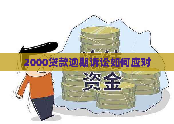 2000贷款逾期诉讼如何应对