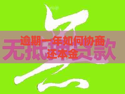 逾期一年如何协商还本金