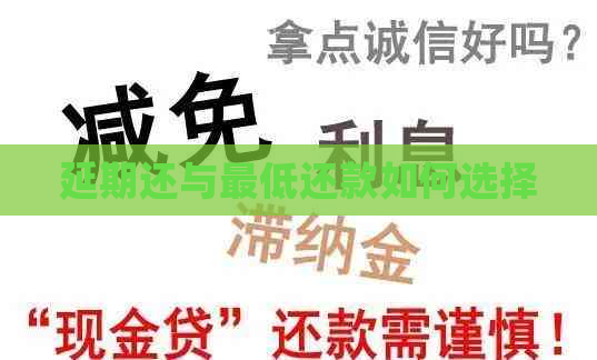 延期还与更低还款如何选择