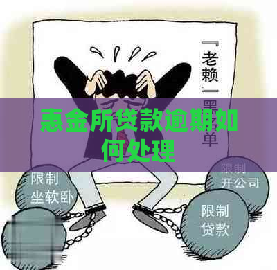 惠金所贷款逾期如何处理
