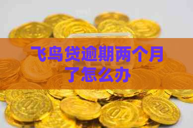 飞鸟贷逾期两个月了怎么办 飞鸟贷逾期两个月了怎么办