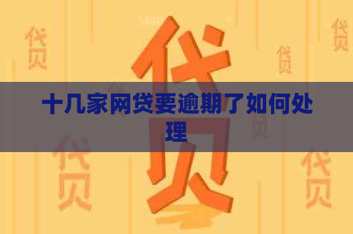 十几家网贷要逾期了如何处理