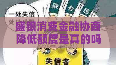 盛银消费金融协商降低额度是真的吗 盛银消费金融协商降低额度是真的吗
