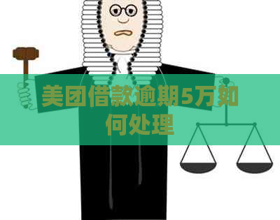 美团借款逾期5万如何处理