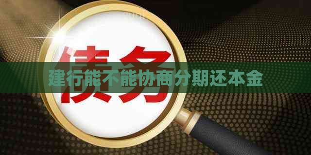 建行能不能协商分期还本金