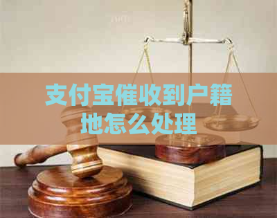 支付宝到户籍地怎么处理