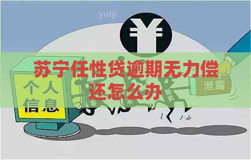 苏宁任性贷逾期无力偿还怎么办