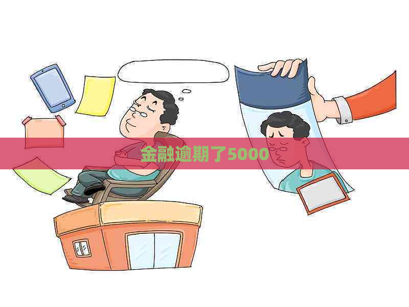 金融逾期了5000