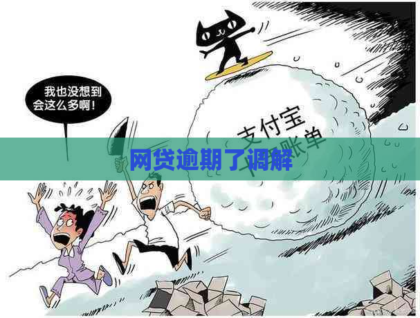 网贷逾期了调解