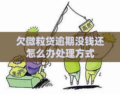 欠微粒贷逾期没钱还怎么办处理方式