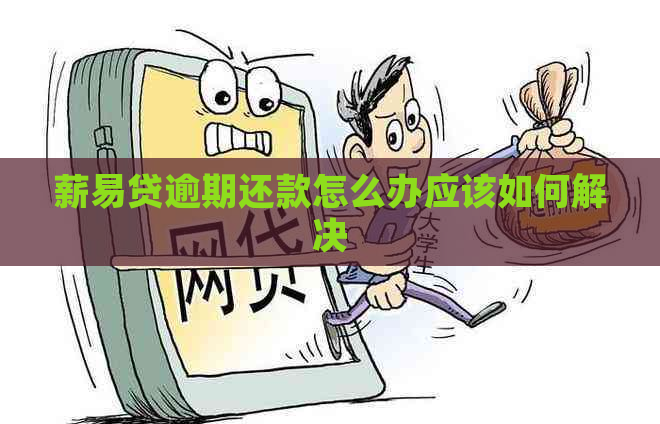 薪易贷逾期还款怎么办应该如何解决 薪易贷逾期还款怎么办应该如何解决