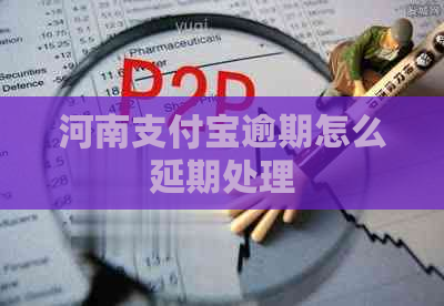 河南支付宝逾期怎么延期处理