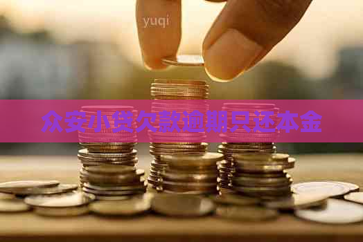 众安小贷欠款逾期只还本金