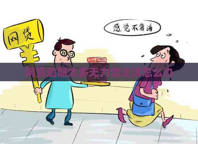 网贷逾期太多无力偿还该怎么办
