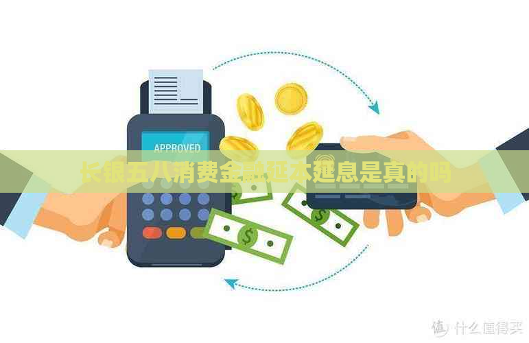 长银五八消费金融延本延息是真的吗