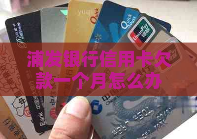 浦发银行信用卡欠款一个月怎么办