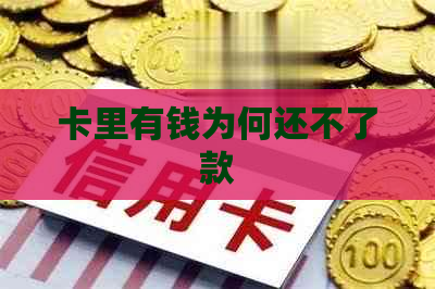 卡里有钱为何还不了款