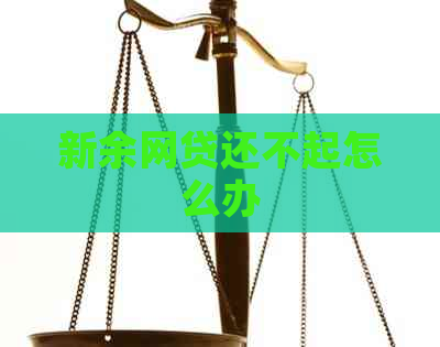 新余网贷还不起怎么办