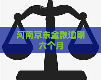 河南京东金融逾期六个月 河南京东金融逾期六个月