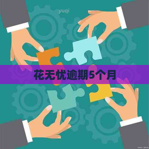 花无忧逾期5个月
