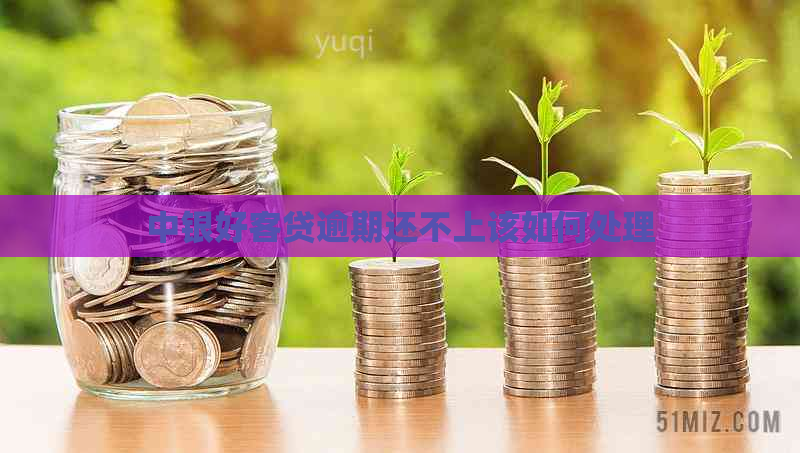 中银好客贷逾期还不上该如何处理
