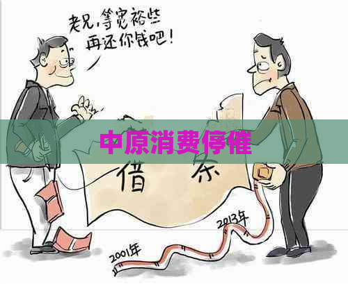 中原消费停催