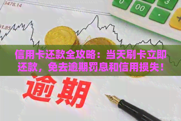 信用卡还款全攻略：当天刷卡立即还款，免去逾期罚息和信用损失！