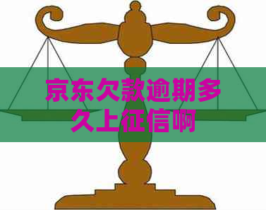 京东欠款逾期多久上啊