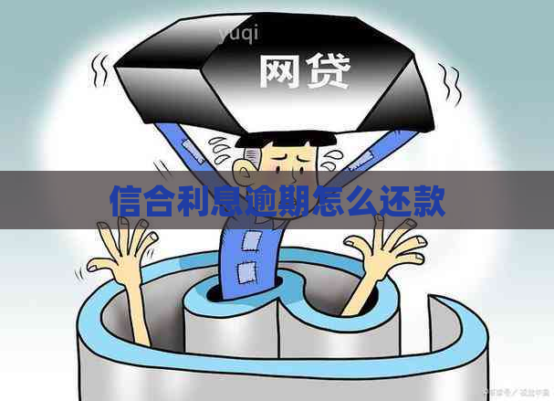 信合利息逾期怎么还款