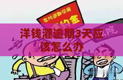 洋钱灌逾期3天应该怎么办