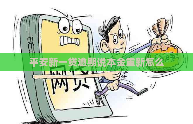 平安新一贷逾期说本金重新怎么