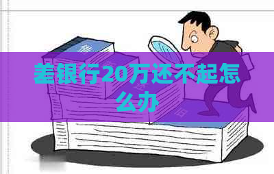 差银行20万还不起怎么办