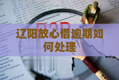 辽阳放心借逾期如何处理