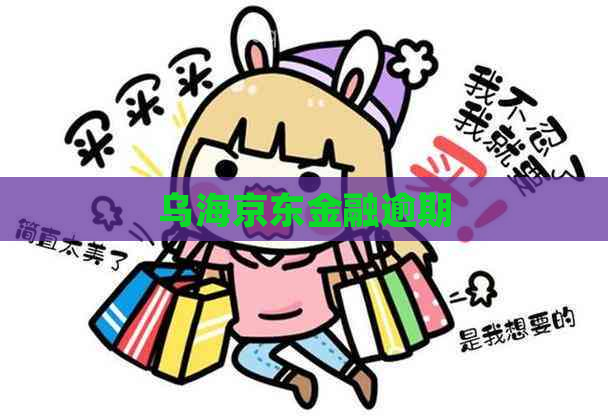 乌海京东金融逾期