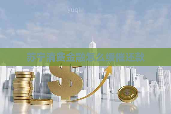 苏宁消费金融怎么缓催还款