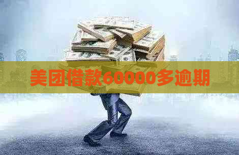 美团借款60000多逾期