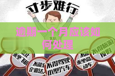 逾期一个月应该如何处理